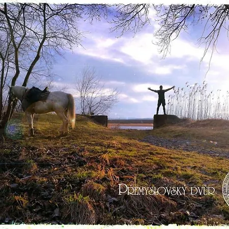 Premyslovsky Dvur Appartement Slezske Pavlovice