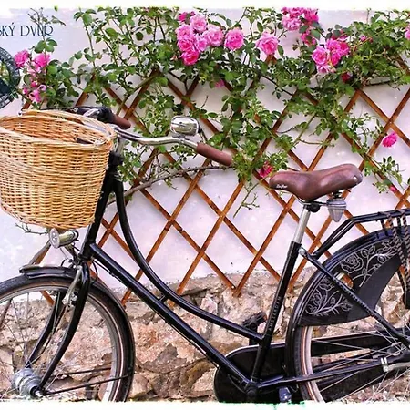 Premyslovsky Dvur Slezske Pavlovice